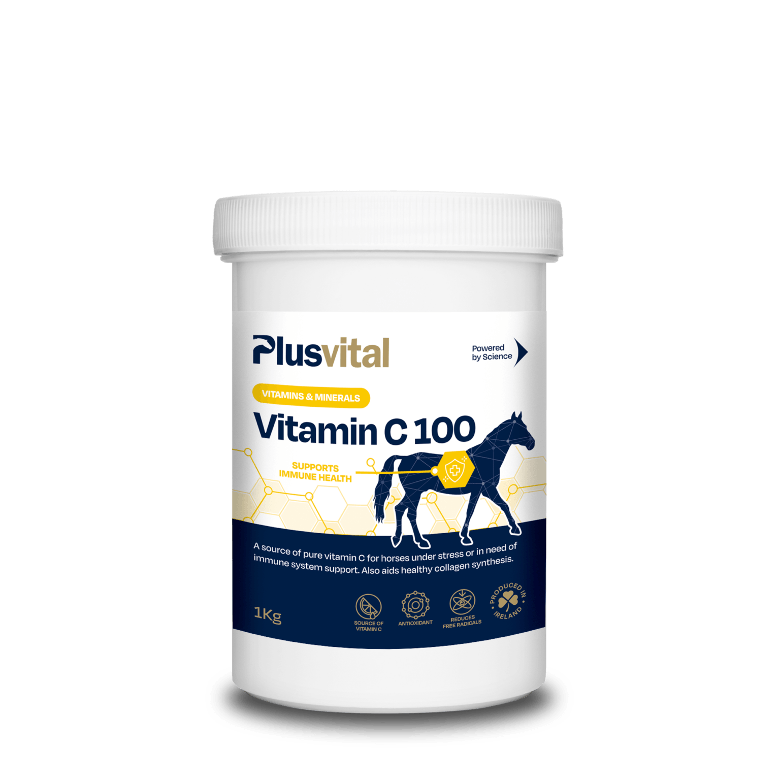Vitamin C 100 1 kg