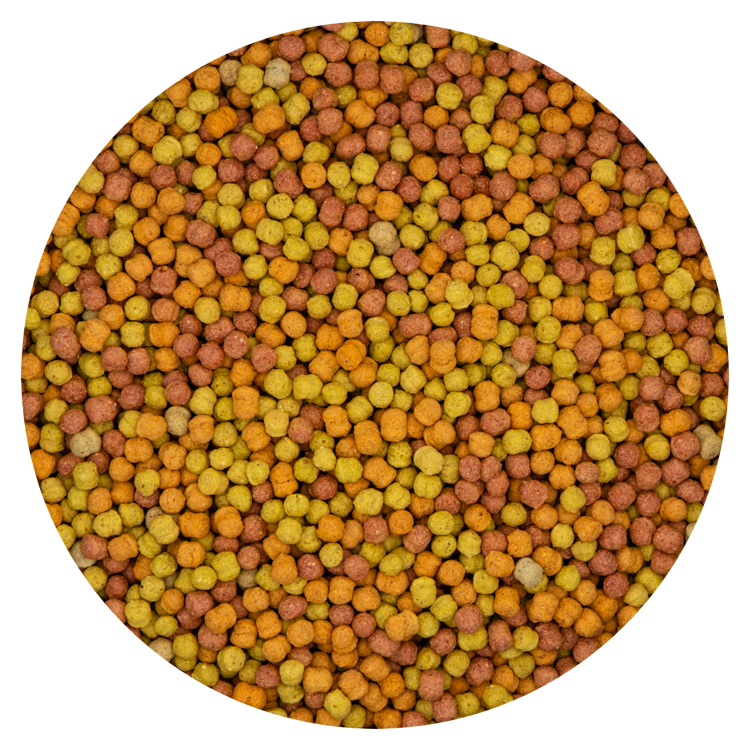 Nutri-Logic Fruits 10 kg - 2