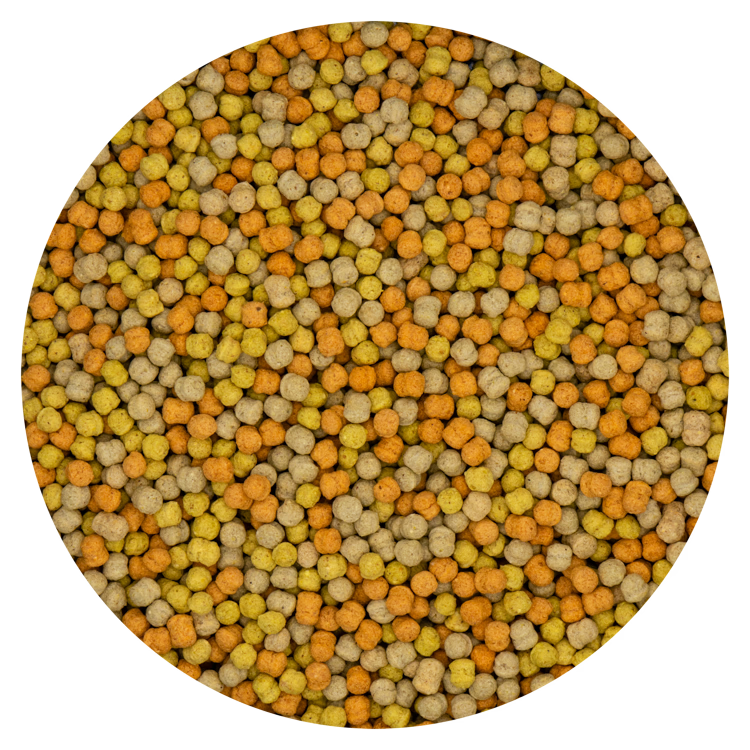 Pellets Lori FruitBlend 10 kg