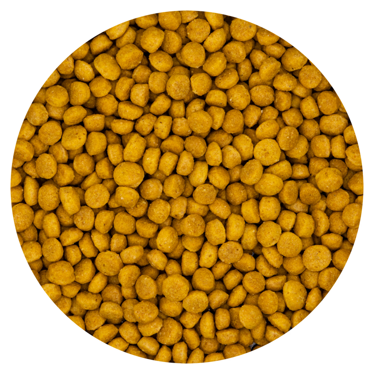 Pellets Softbill Toucan 10 kg