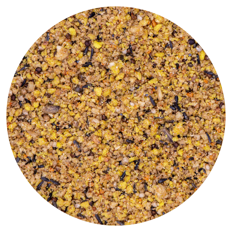 Gold Soft Wildzang - 2