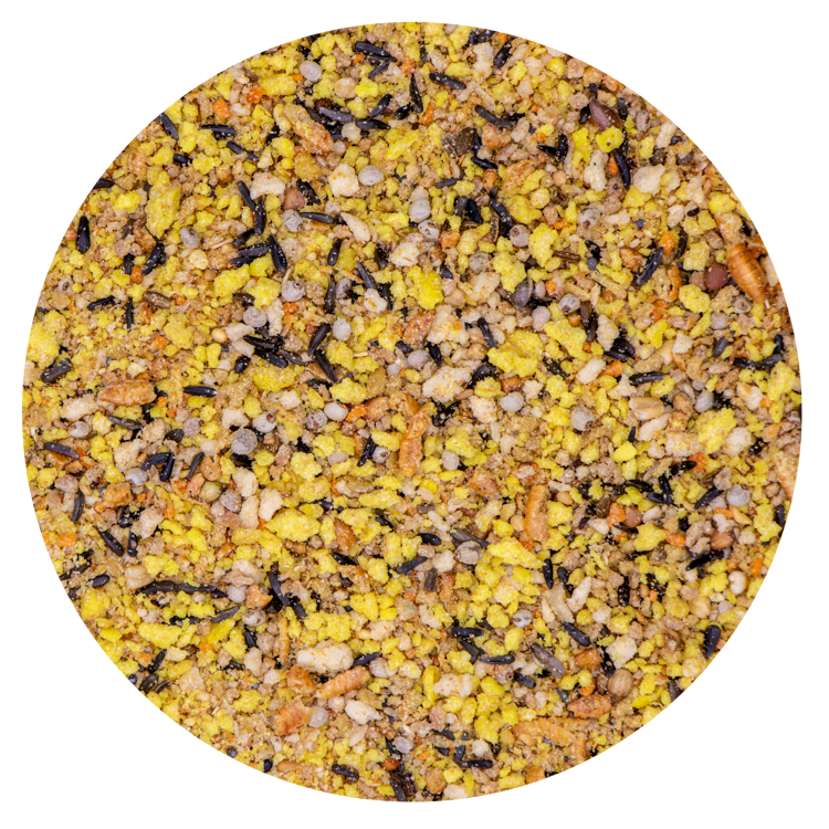 Gold Dry Wildzang - 2