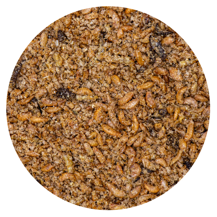 Insect Patee Premium +Spirulina - 2