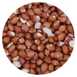 VDC Aardnoten Light Skin